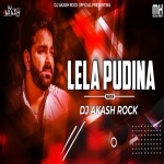 Pudina Ae Haseena - Pawan Singh Remix By Dj Akash Rock