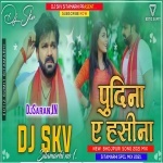 Le La Pudina Le La Pudina Pawan Singh Dutch Mix By Dj SKV