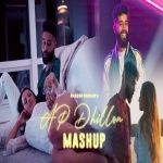 AP Dhillon Mashup Remix By Dj Naresh Parmar