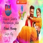 Ghare Sab Pardeshiya Aile Ritesh Pandey Remix By Dj Abhay Chhapra